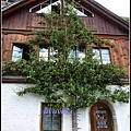 奧地利 哈爾施塔特 Hallstatt, Austria 