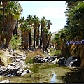 美國 加州 印地安峽谷 山峽 Indian Canyons, CA, USA