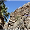 美國 加州 印地安峽谷 山峽 Indian Canyons, CA, USA