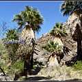 美國 加州 印地安峽谷 山峽 Indian Canyons, CA, USA