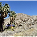 美國 加州 印地安峽谷 山峽 Indian Canyons, CA, USA