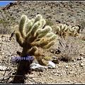 美國 加州 印地安峽谷 山峽 Indian Canyons, CA, USA