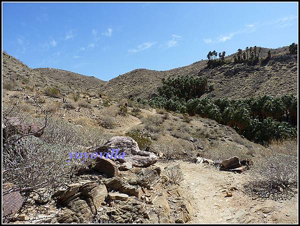 美國 加州 印地安峽谷 山峽 Indian Canyons, CA, USA