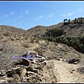 美國 加州 印地安峽谷 山峽 Indian Canyons, CA, USA