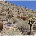 美國 加州 印地安峽谷 山峽 Indian Canyons, CA, USA