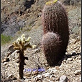 美國 加州 印地安峽谷 山峽 Indian Canyons, CA, USA