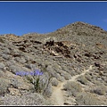 美國 加州 印地安峽谷 山峽 Indian Canyons, CA, USA