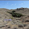 美國 加州 印地安峽谷 山峽 Indian Canyons, CA, USA