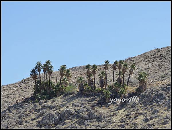 美國 加州 印地安峽谷 山峽 Indian Canyons, CA, USA