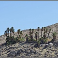 美國 加州 印地安峽谷 山峽 Indian Canyons, CA, USA