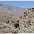 美國 加州 印地安峽谷 山峽 Indian Canyons, CA, USA