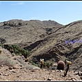 美國 加州 印地安峽谷 山峽 Indian Canyons, CA, USA