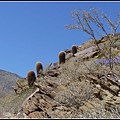 美國 加州 印地安峽谷 山峽 Indian Canyons, CA, USA