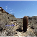 美國 加州 印地安峽谷 山峽 Indian Canyons, CA, USA