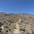 美國 加州 印地安峽谷 山峽 Indian Canyons, CA, USA