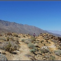 美國 加州 印地安峽谷 山峽 Indian Canyons, CA, USA