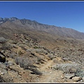 美國 加州 印地安峽谷 山峽 Indian Canyons, CA, USA