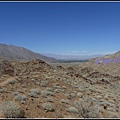 美國 加州 印地安峽谷 山峽 Indian Canyons, CA, USA