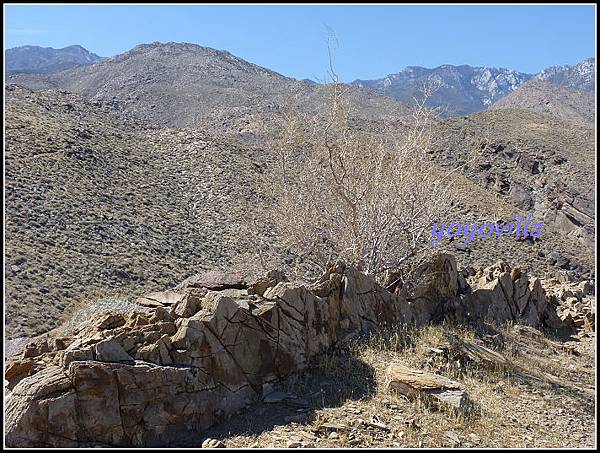 美國 加州 印地安峽谷 山峽 Indian Canyons, CA, USA