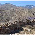 美國 加州 印地安峽谷 山峽 Indian Canyons, CA, USA