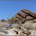 美國 加州 印地安峽谷 山峽 Indian Canyons, CA, USA