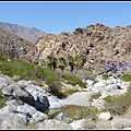 美國 加州 印地安峽谷 山峽 Indian Canyons, CA, USA