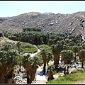 美國 加州 印地安峽谷 山峽 Indian Canyons, CA, USA