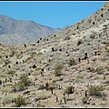 美國 加州 印地安峽谷 山峽 Indian Canyons, CA, USA