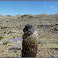 美國 加州 印地安峽谷 山峽 Indian Canyons, CA, USA