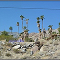 美國 加州 印地安峽谷 Indian Canyons, CA, USA