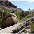 美國 加州 印地安峽谷 Indian Canyons, CA, USA