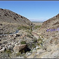 美國 加州 印地安峽谷  Indian Canyons, CA, USA