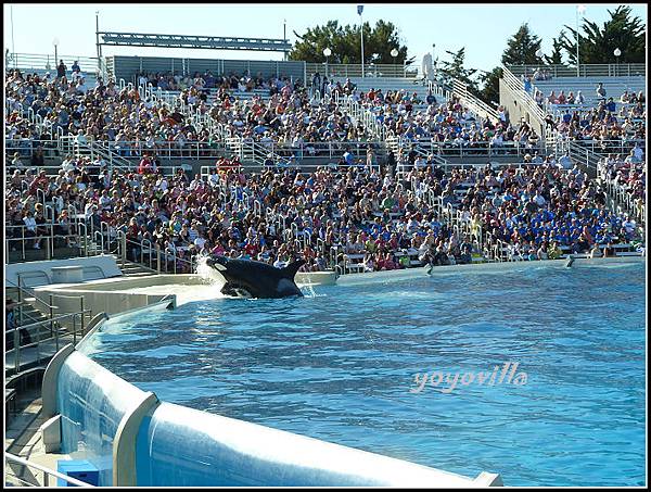 美國 加州 聖地牙哥 海洋公園 Sea World, San Diego, CA