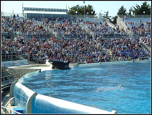 美國 加州 聖地牙哥 海洋公園 Sea World, San Diego, CA