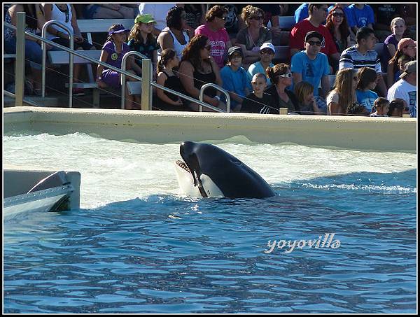 美國 加州 聖地牙哥 海洋公園 Sea World, San Diego, CA