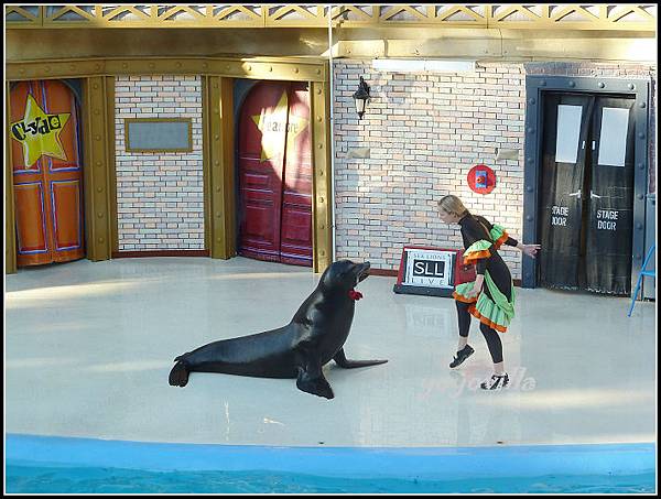 美國 加州 聖地牙哥 海洋公園 Sea World, San Diego, CA