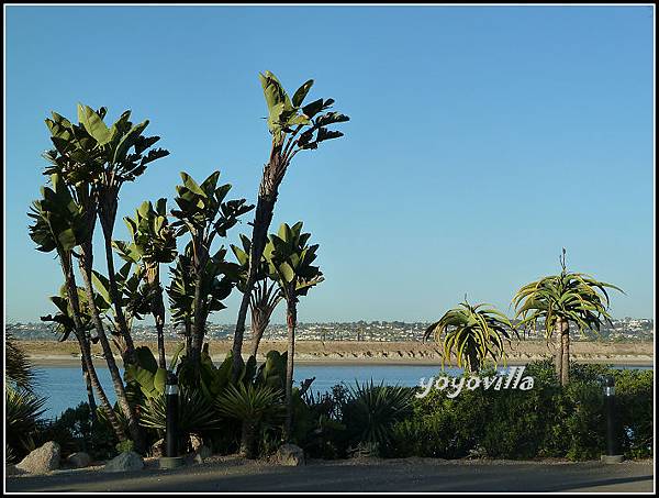 美國 加州 聖地牙哥 海洋公園 Sea World, San Diego, CA