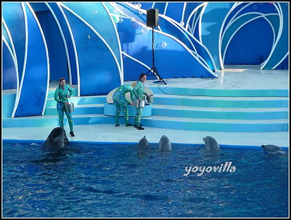 美國 加州 聖地牙哥 海洋公園 Sea World, San Diego, CA