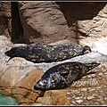 美國 加州 聖地牙哥 海洋公園 Sea World, San Diego, CA