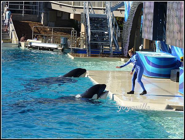 美國 加州 聖地牙哥 海洋公園 Sea World, San Diego, CA