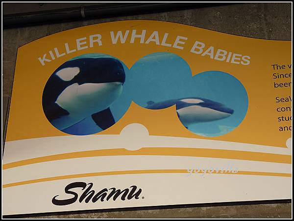 美國 加州 聖地牙哥 海洋公園 Sea World, San Diego, CA