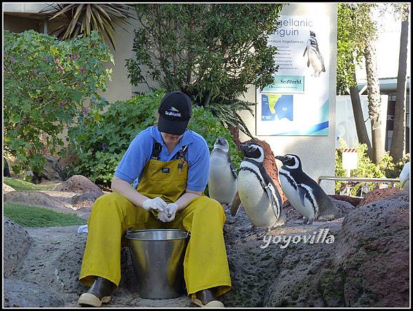 美國 加州 聖地牙哥 海洋公園 Sea World, San Diego, CA