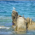 希臘 米克諾斯島 風車 Mykonos, Greece