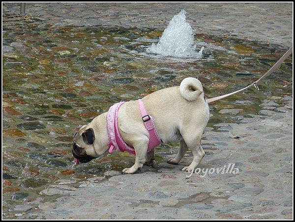 德國 羅斯托克 Rostock, Germany