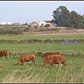 葡萄牙 薩格里什 Sagres, Portugal 