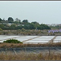 葡萄牙 薩格里什 Sagres, Portugal 