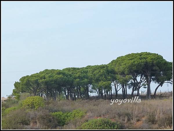 葡萄牙 薩格里什 Sagres, Portugal 