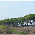 葡萄牙 薩格里什 Sagres, Portugal 