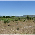 希臘 卡塔科隆 古奧林匹克 Olympia, Katakolon, Greece 