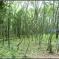 克羅埃西亞 克爾卡國家公園 Krka National Park, Croatia 